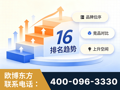 绥化-竞品品牌排名